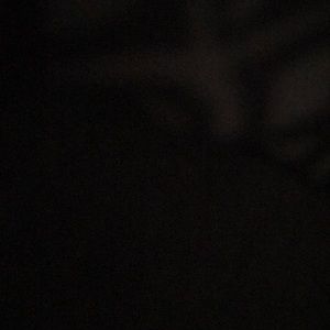 Meet your Posher, Jake